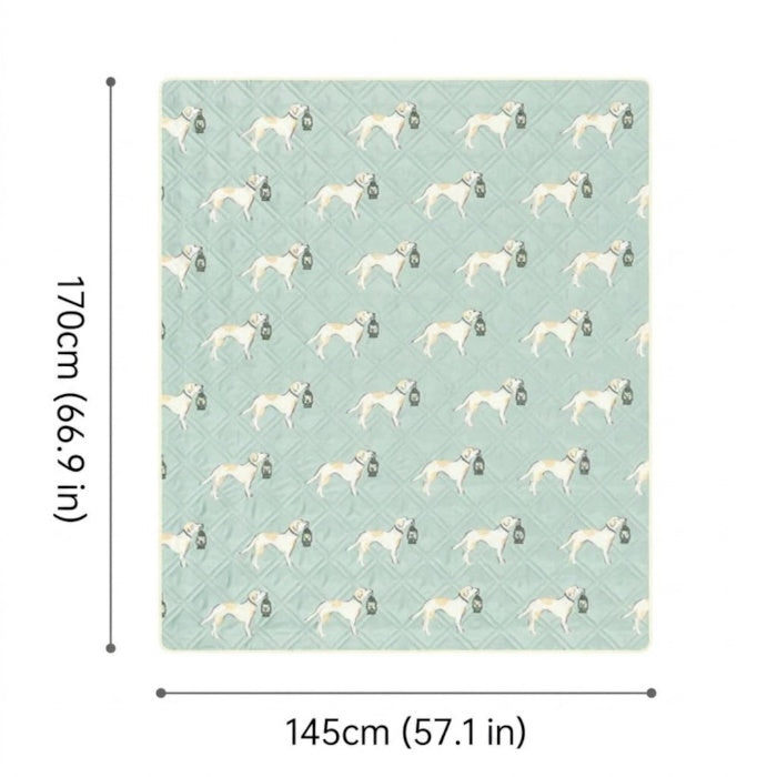 Load image into Gallery viewer, Size chart showing Naturehike picnic blanket dimensions: 145x170 cm