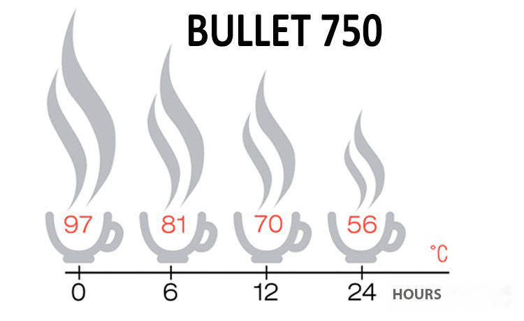 Load image into Gallery viewer, Bullet 500/750/950 Stainless Steel Vacuum Insulated Thermos for Hot & Cold Drinks (24h)