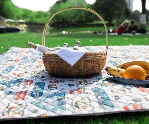 Picnic setup with a basket, bottles, and food on a colorful blanket in a park.