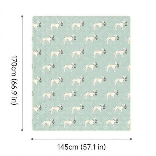Size chart showing Naturehike picnic blanket dimensions: 145x170 cm