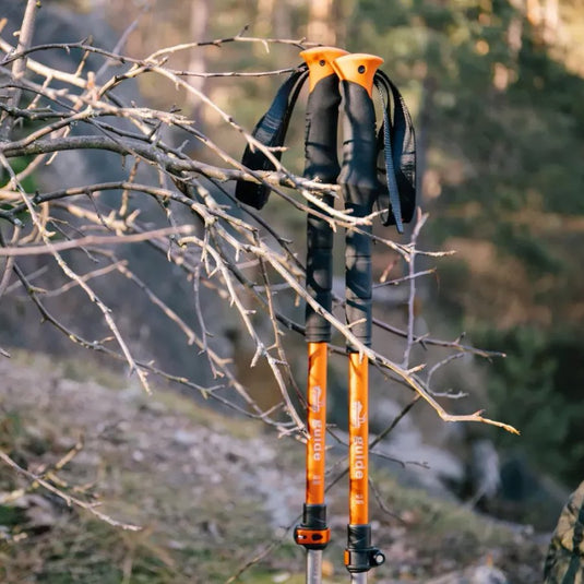 Orange and black hiking poles hanging on a tree branch with a natural background.